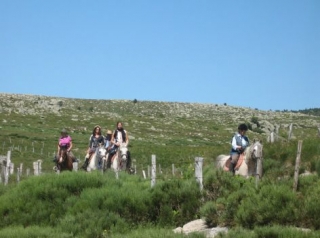  Subir a caballo Mont Lozere 